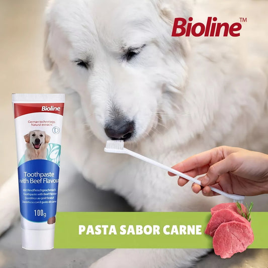 Set Cuidado Dental Bioline Para Perro